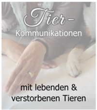 Tierkommunikation Tierkommunikation